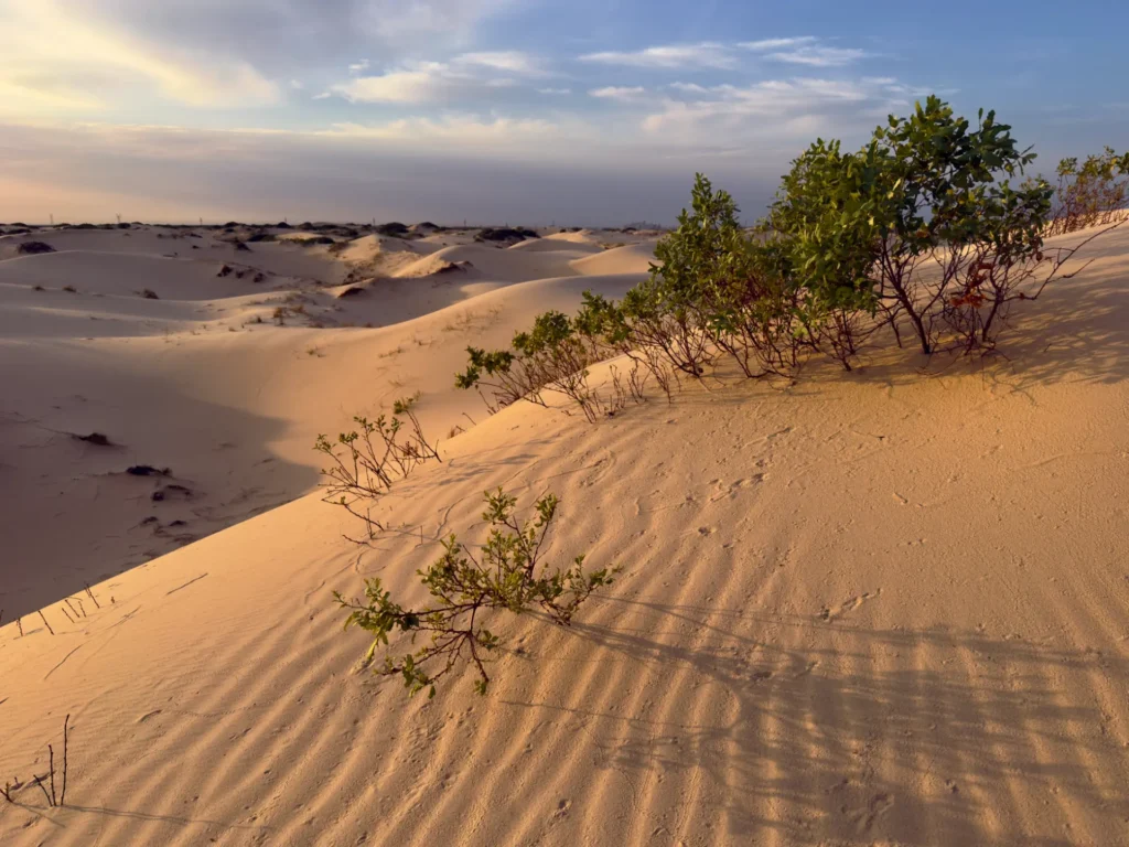 dunes_5
