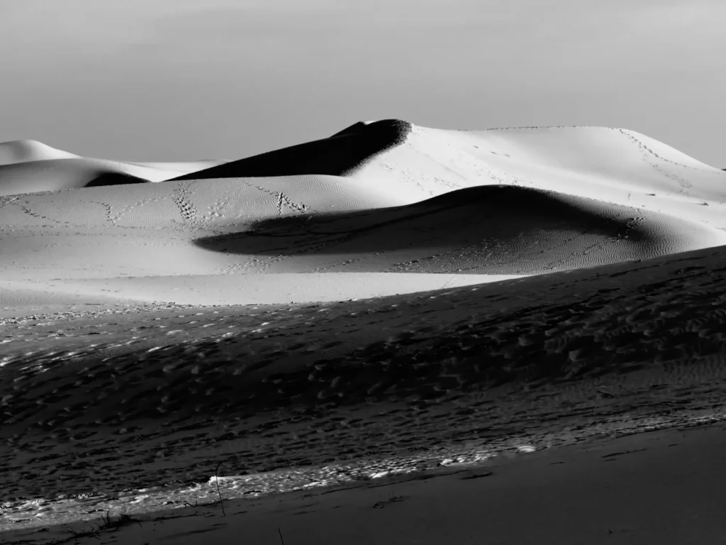 dunes_6