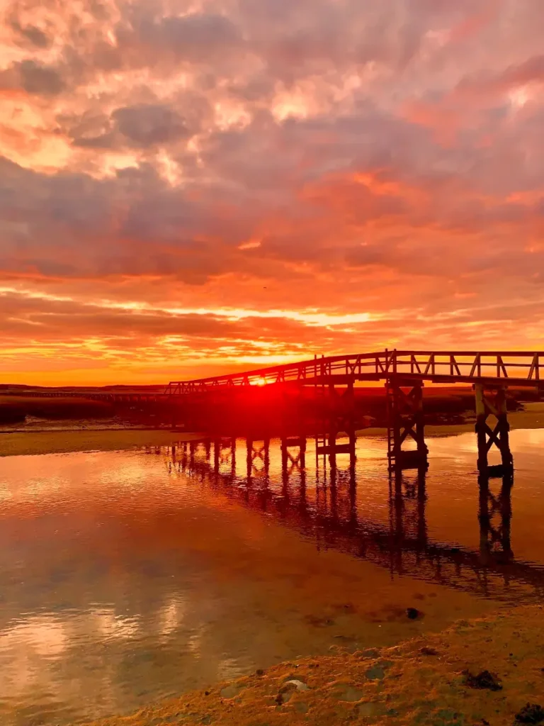 general_gallery-bridge-sunset