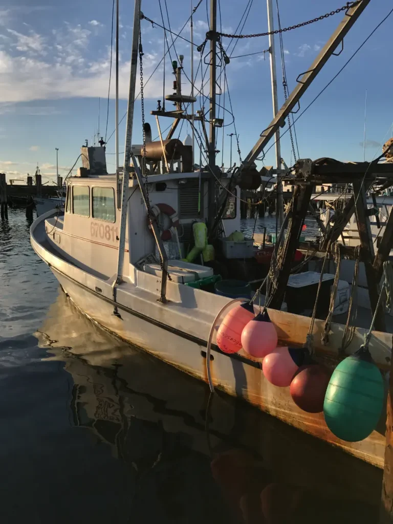 cape_cod_3
